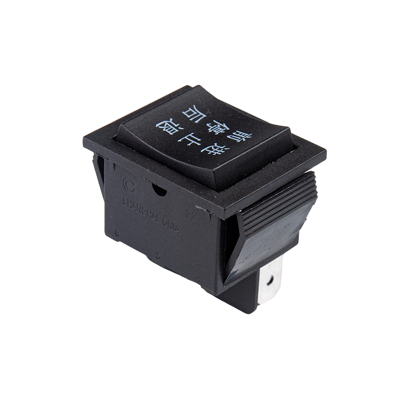 R11-213 ロッカースイッチ